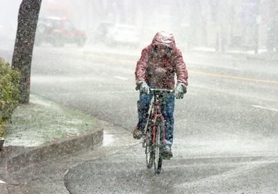 Children Riding In the Snow